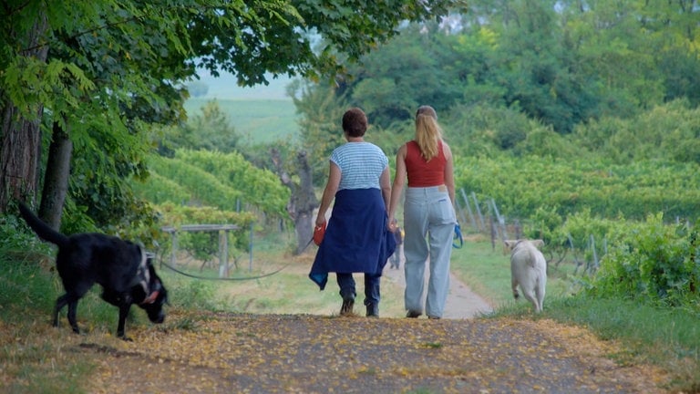 Zwei Menschen laufen mit zwei Labradorhunden einen Weg in den Weinbergen entlang.