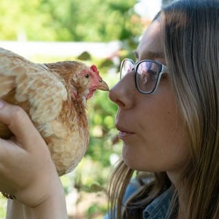 "Rettet das Huhn" - Der Verein vermittelt ausgediente Legehennen an Privatmenschen, um ihnen einen schönen Lebensabend zu ermöglichen.