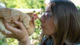 "Rettet das Huhn" - Der Verein vermittelt ausgediente Legehennen an Privatmenschen, um ihnen einen schönen Lebensabend zu ermöglichen.