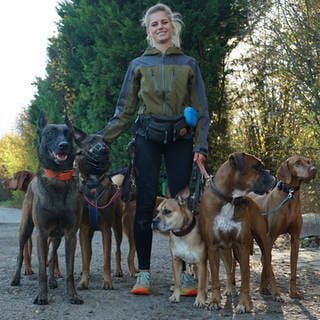 Lisa Kiebler hat einen Traumjob – beruflich mit Hunden Gassi gehen