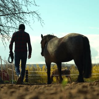 James mit Pferd