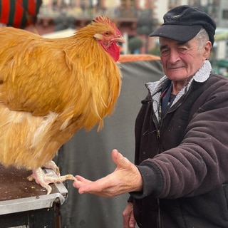 Eiermann mit Hahn Moritz auf dem Mainzer Markt