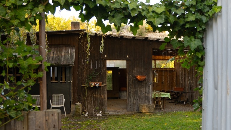 Umrandet von Efeu ist eine Holzbaracke zu sehen. Als Ausstellungsobjekt soll sie in Zukunft an die Geschichte der Sinti in Mainz erinnern.