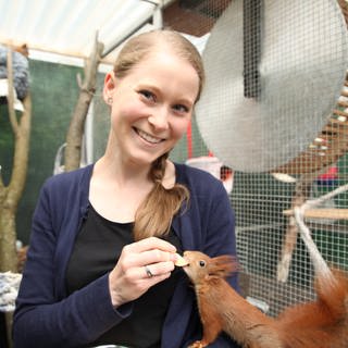 Junge Frau von der Eichhörnchenhilfe Stuttgart füttert rotes Eichhörnchen