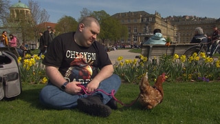 Ein Mann sitzt mit einem angeleinten Huhn auf dem Schlossplatz in Stuttgart