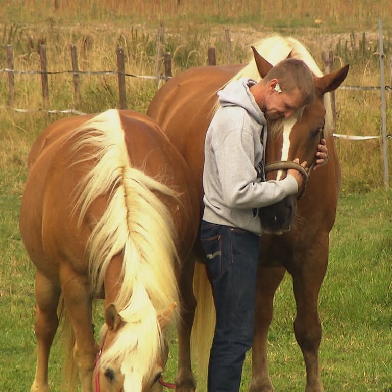 Eine tiergestützte Suchttherapie hilft Alexander ein neues Leben zu beginnen