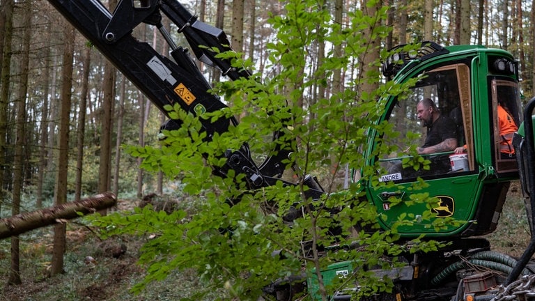 Ein Mann sitzt in einem grünen Harvester umgeben von Bäumen im Wald