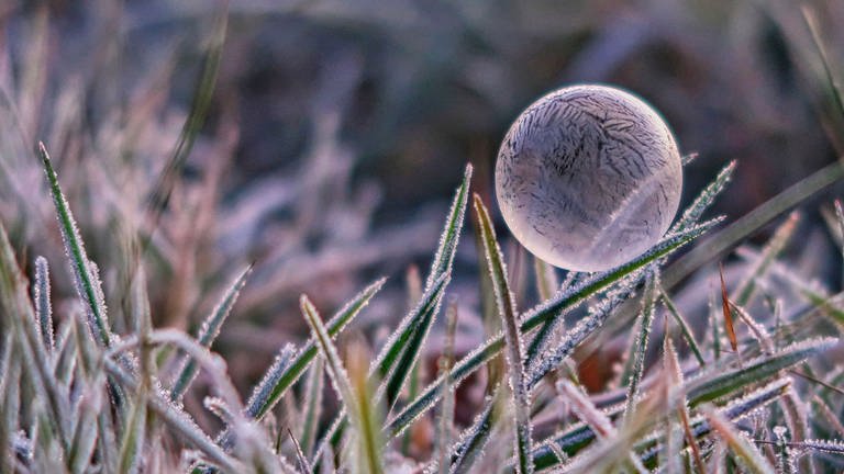 Gefrorene Seifenblase am frühen Morgen