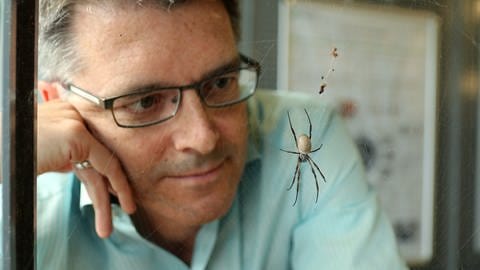 Der Forscher Thomas Scheibel forscht an der Bayreuther Universität an der technischen Nutzung von Spinnenseide.