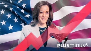 Auf dem Bild ist die demokratische US-Präsidentschaftskandidatin Kamala Harris vor einer Flagge der USA zu sehen. Wohin steuert unser wichtigster Handelspartner USA nach der Wahl? Viele bei uns setzen auf Kamala Harris. Wie sehen ihre Pläne aus und wie gut wären sie wirklich für uns und unsere Wirtschaft? Es geht um Preise, Schulden, Subventionen und den Handel. 