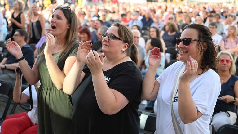 SWR Sommerfestival mit den Boomtown Rats und Bob Geldof