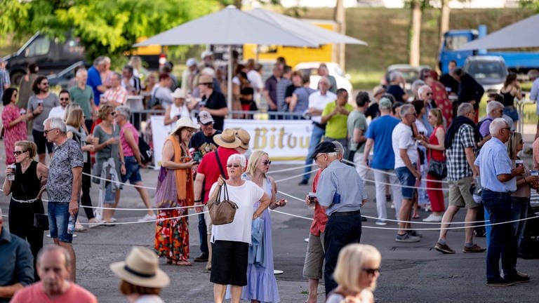 SWR Sommerfestival mit den Boomtown Rats und Bob Geldof