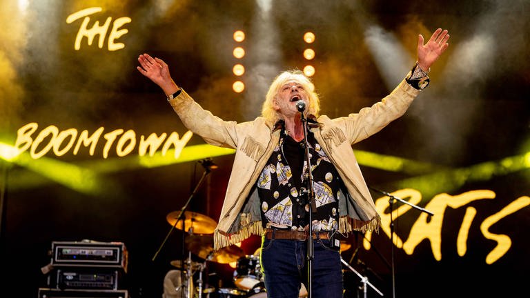 SWR Sommerfestival mit den Boomtown Rats und Bob Geldof