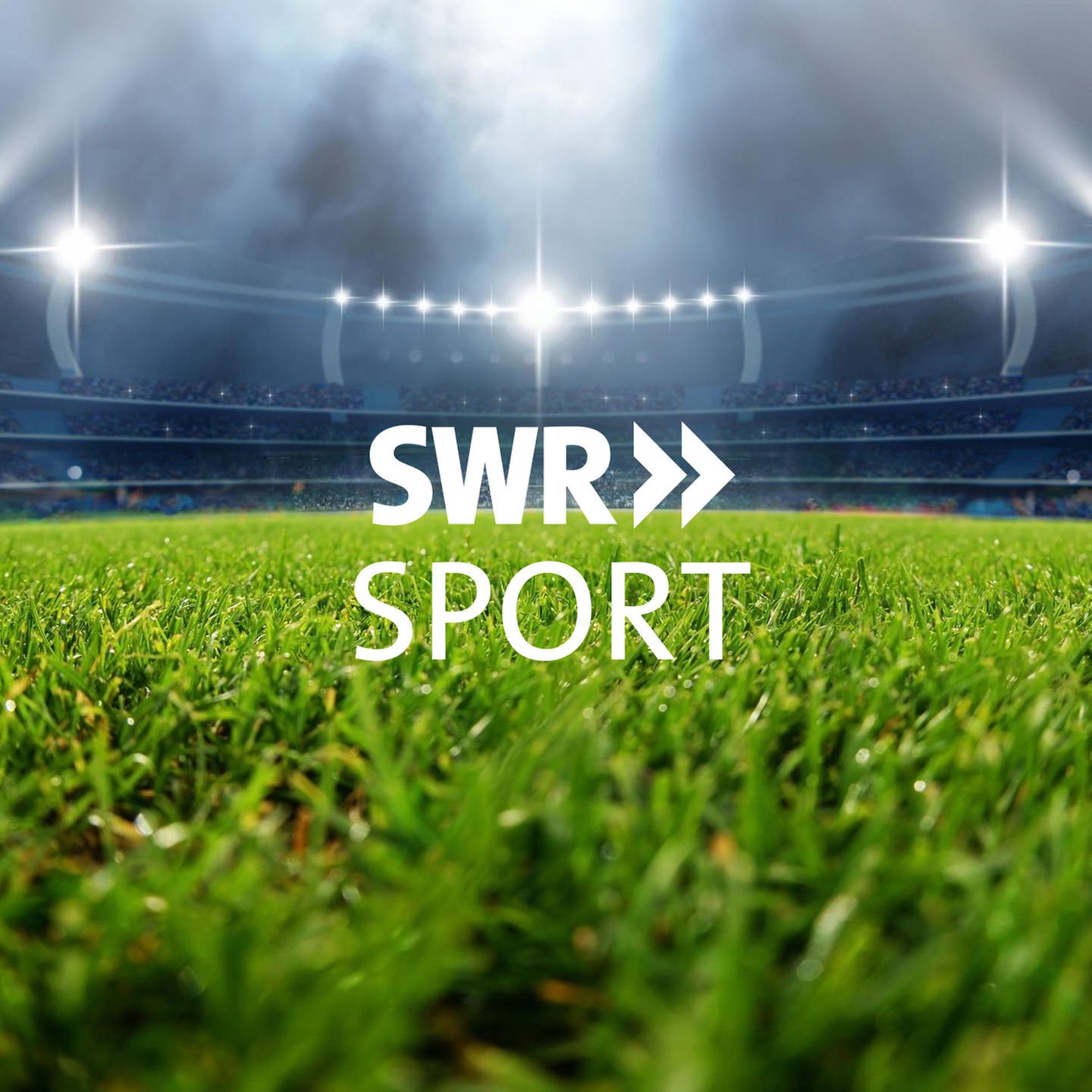 swr livestream sport