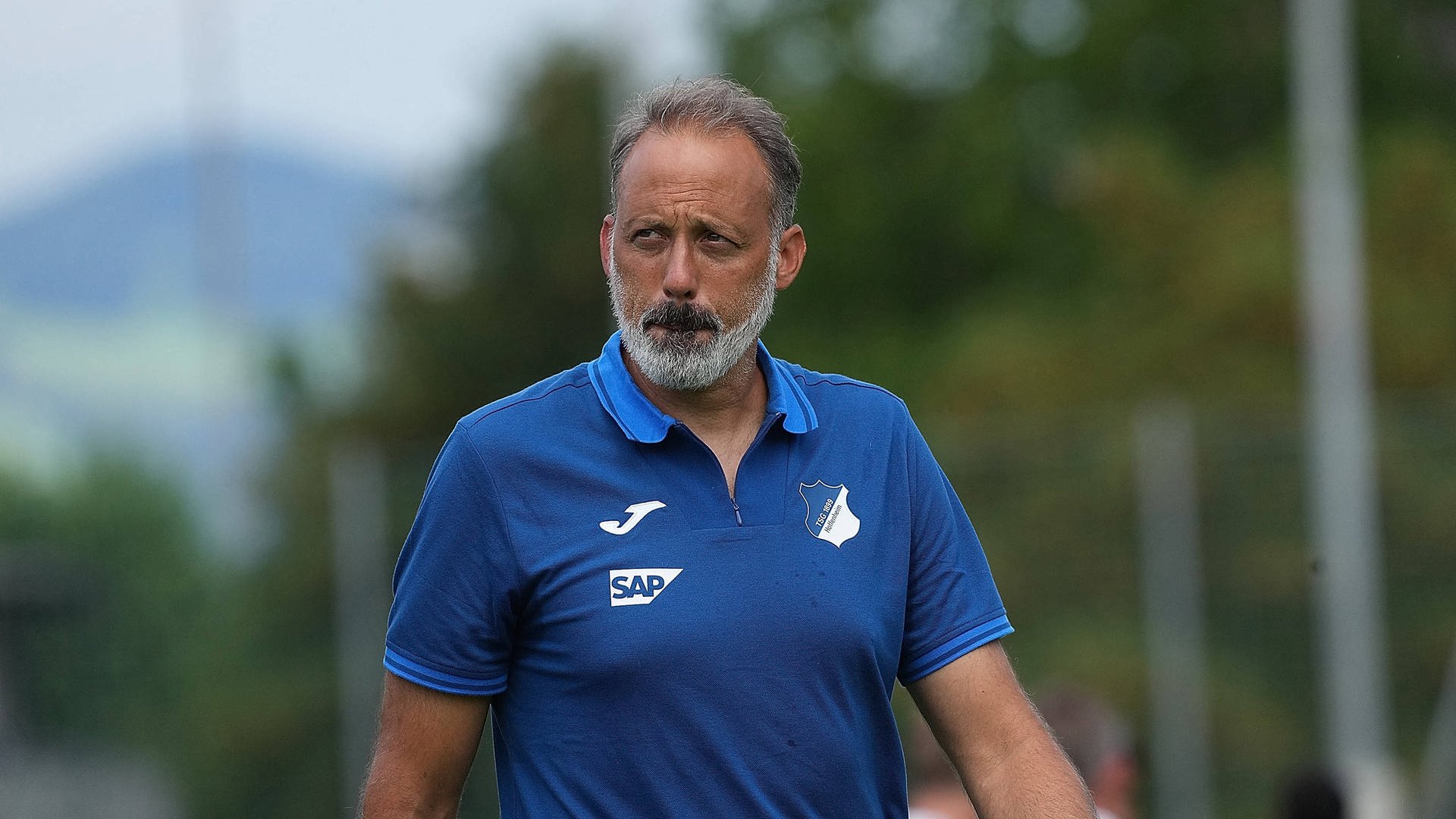 Wieder Unruhe in Hoffenheim: Wechselt Trainer Matarazzo in die USA?
