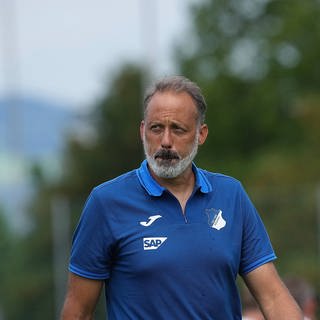 Der Trainer der TSG Hoffenheim: Pellegrino Matarazzo 