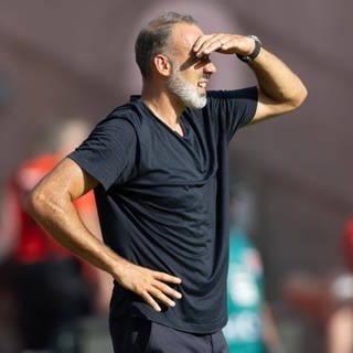 Trainer Pellegrino Matarazzo vor dem Spiel gegen Meister Leverkusen