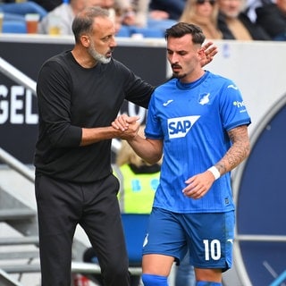 Pellegrino Matarazzo undMergim Berisha von der TSG Hoffenheim 