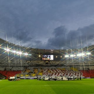 VfB Fans