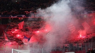 Feurig und gewaltbereit: Die Fans von Roter Stern Belgrad