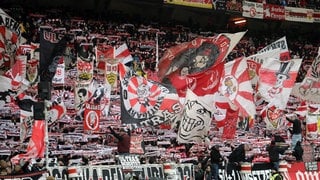 VfB Fans 