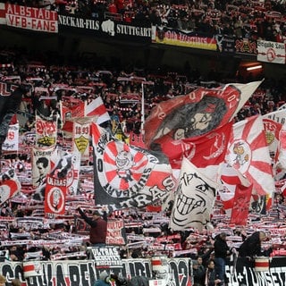 VfB Fans 