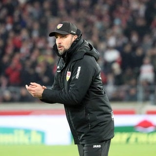 Sebastian Hoeneß (Trainer VfB Stuttgart)