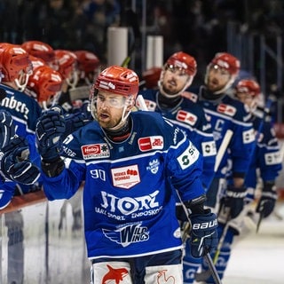 Spieler der Schwenninger Wild Wings klatschen sich ab