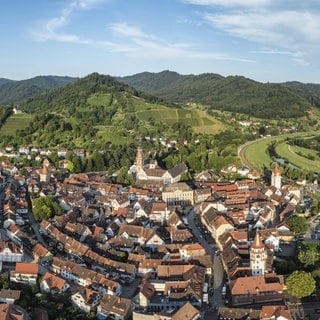 Die Stadt Gengenbach liegt inmitten von Weinbergen. Der TV Gegnenbach ist sein Projekt "natürlich Fit im Weinberg" mit dem silbernen Stern des Sportes ausgezeichnet worden. 