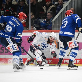 Adler Mannheim gegen die Schwenninger Wild Wings in der DEL