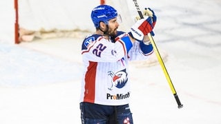 Matthias Plachta, Adler Mannheim