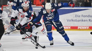 David Wolf von den Adler Mannheim