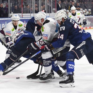 Adler Mannheim gegen Eisbären Berlin