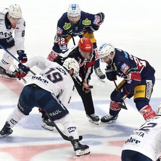 Spielszene aus dem Spiel Eisbären Berlin gegen Adler Mannheim.