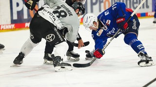 Kölner Haie gegen Adler Mannheim