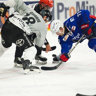 Kölner Haie gegen Adler Mannheim