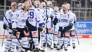 Die Schwenninger Wild Wings trafen im ersten Play-Off-Spiel auf Straubing