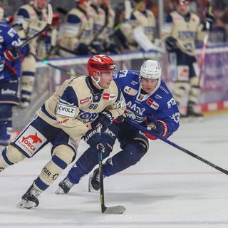 Für die Schwenninger Wild Wings und Adler Mannheim geht es am Freitag in der DEL weiter