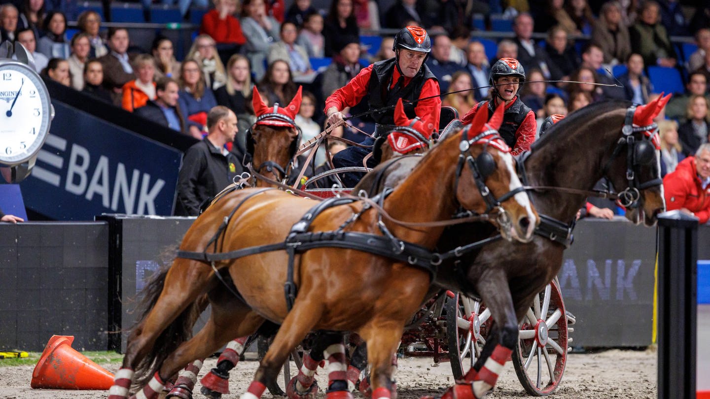 German Masters 2022: Gespannfahren