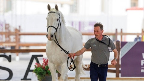 Hans-Dieter Dreher mit Elysium beim Vet-Check vor dem Weltcup-Finale in Riad (Saudi-Arabien).