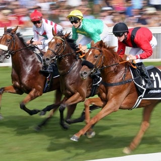 Pferde und Jockeys im Rennen, Galopprennbahn Baden-BadenIffezheim