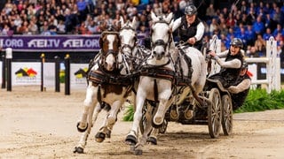 Der Niederländer Chardon Ijsbrand beim German Masters 2024 in Stuttgart