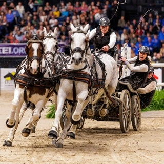 Der Niederländer Chardon Ijsbrand beim German Masters 2024 in Stuttgart