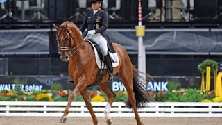 Dressurreiterin Isabell Werth gewinnt zum elften Mal die Weltcup-Kür in Stuttgart Dressurreiten.