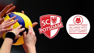 Allianz MTV Stuttgart trifft im Volleyball-Pokalfinale auf den SC Potsdam. 