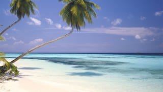 Palmenstrand, weißer Sand, Meer 