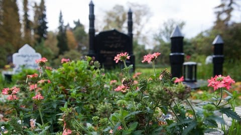Grabsteine stehen am 28.10.2013 auf dem muslimischen Gräberfeld auf dem Friedhof Stöcken in Hannover (Niedersachsen). Migrantenverbände in Niedersachsen rechnen mit einer Zunahme von islamischen Bestattungen in Deutschland.