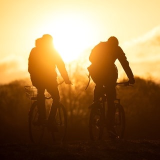 Radfahrer fahren bei Sonnenaufgang am Werdersee entlang.