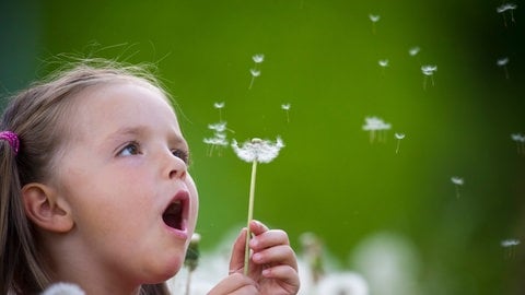 Die vierjährige Amy sitzt in einer Wiese voller verblüter Löwenzahnblumen. In die Welt schauen, Resilienz, Achtsamkeit