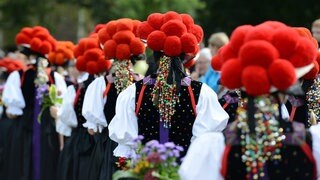 Bollenhutträgerinnen aus Gutach laufen am 21.09.2014 beim Festumzug am Vogtsbauernhof des Schwarzwälder Freilichtmuseums in Gutach (Baden-Württemberg) vorbei. 3500 Trachtenträger und Musiker von Trachtenkapellen nehmen am Umzug anlässlich des 50-jährigen Bestehens des Museums teil.